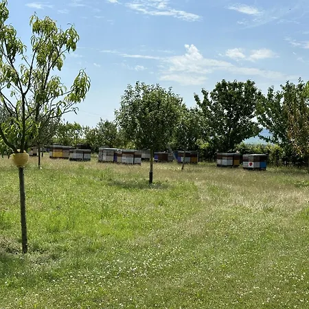 Happy Holiday home